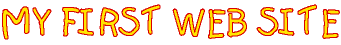 first_website.gif (2208 bytes)