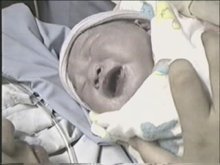 051799_01.JPG (28093 bytes)