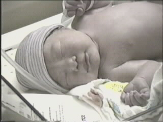 051799_01.JPG (28093 bytes)