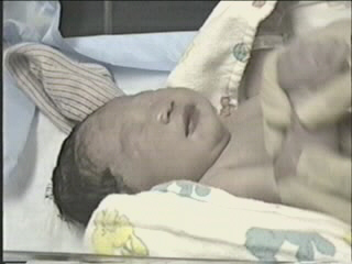 051799_09.JPG (23141 bytes)