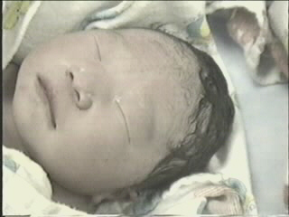 051799_09.JPG (23141 bytes)