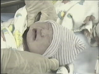 051799_09.JPG (23141 bytes)