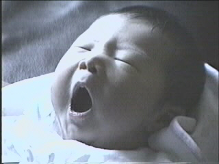 052199_01.JPG (28093 bytes)