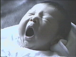 052199_09.JPG (23141 bytes)