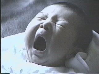 052199_09.JPG (23141 bytes)