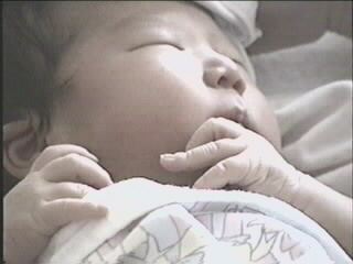 052299_01.JPG (28093 bytes)