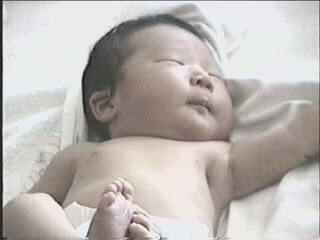 052299_01.JPG (28093 bytes)