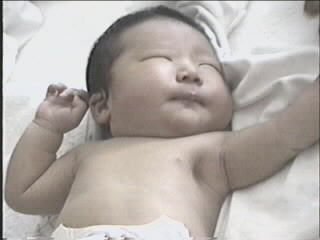 052299_01.JPG (28093 bytes)