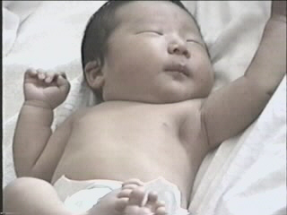 052299_01.JPG (28093 bytes)