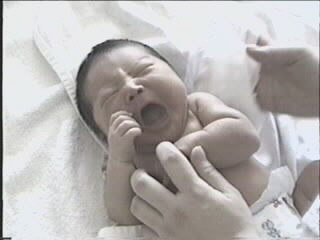 052299_01.JPG (28093 bytes)