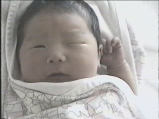 052299_01.JPG (28093 bytes)