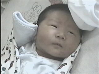 052299_09.JPG (23141 bytes)