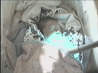 052499_01.JPG (28093 bytes)