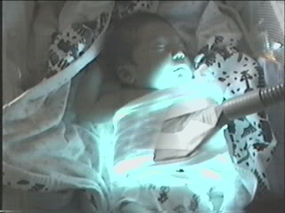 052499_01.JPG (28093 bytes)