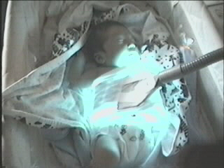 052499_01.JPG (28093 bytes)