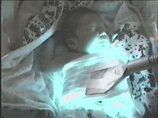 052499_01.JPG (28093 bytes)