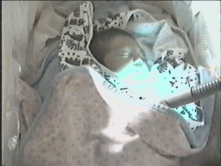 052499_01.JPG (28093 bytes)