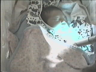 052499_01.JPG (28093 bytes)