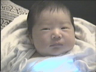 052799_01.JPG (28093 bytes)