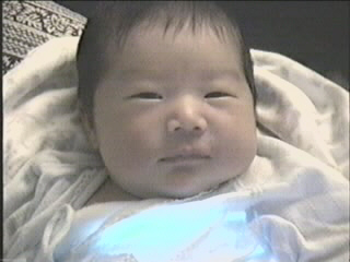 052799_01.JPG (28093 bytes)